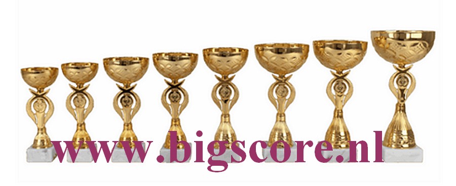 AK5686 Beker Goud